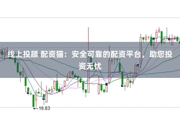 线上投顾 配资猫：安全可靠的配资平台，助您投资无忧