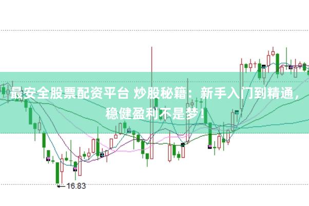 最安全股票配资平台 炒股秘籍：新手入门到精通，稳健盈利不是梦！