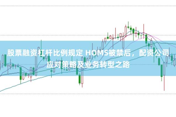 股票融资杠杆比例规定 HOMS被禁后，配资公司应对策略及业务转型之路