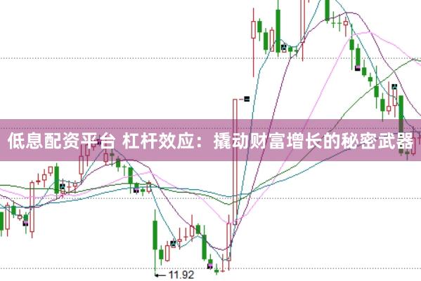 低息配资平台 杠杆效应：撬动财富增长的秘密武器