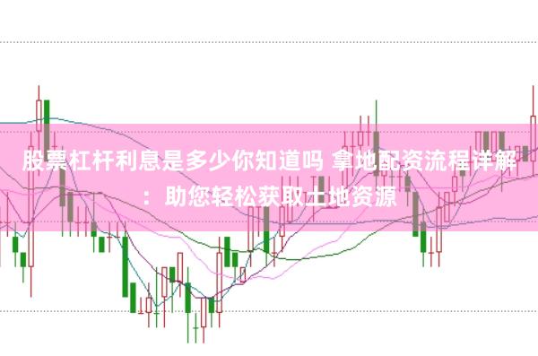 股票杠杆利息是多少你知道吗 拿地配资流程详解：助您轻松获取土地资源