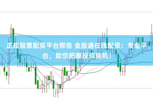 正规股票配资平台那些 金股通在线配资：专业平台，助您把握投资良机！