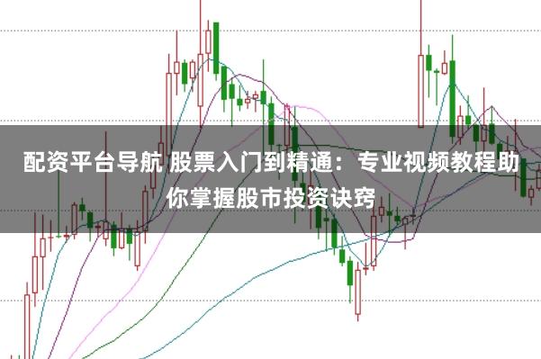 配资平台导航 股票入门到精通：专业视频教程助你掌握股市投资诀窍