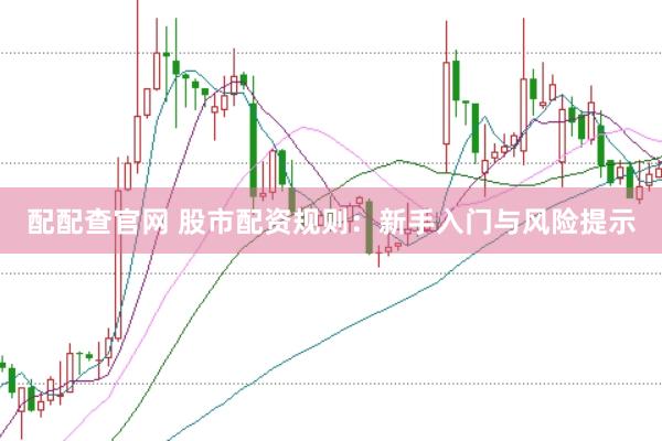 配配查官网 股市配资规则：新手入门与风险提示