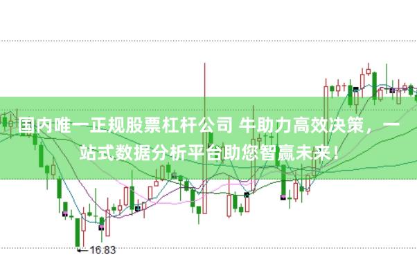 国内唯一正规股票杠杆公司 牛助力高效决策，一站式数据分析平台助您智赢未来！