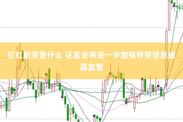 杠杠配资是什么 证监会将进一步加强财报信息披露监管