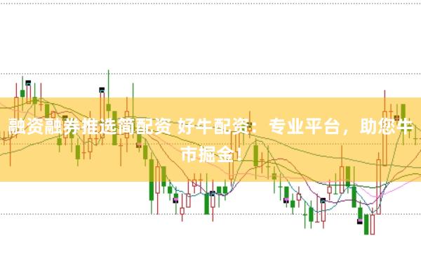融资融券推选简配资 好牛配资：专业平台，助您牛市掘金！