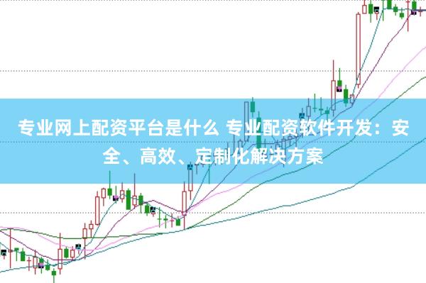 专业网上配资平台是什么 专业配资软件开发：安全、高效、定制化解决方案