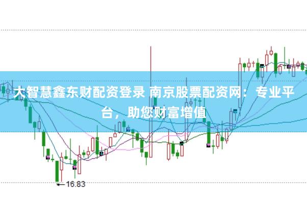 大智慧鑫东财配资登录 南京股票配资网：专业平台，助您财富增值