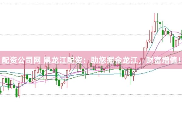 配资公司网 黑龙江配资：助您掘金龙江，财富增值！