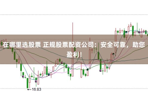 在哪里选股票 正规股票配资公司：安全可靠，助您盈利！