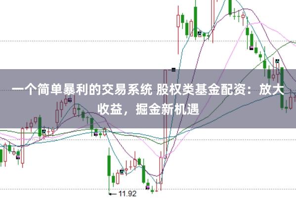 一个简单暴利的交易系统 股权类基金配资：放大收益，掘金新机遇