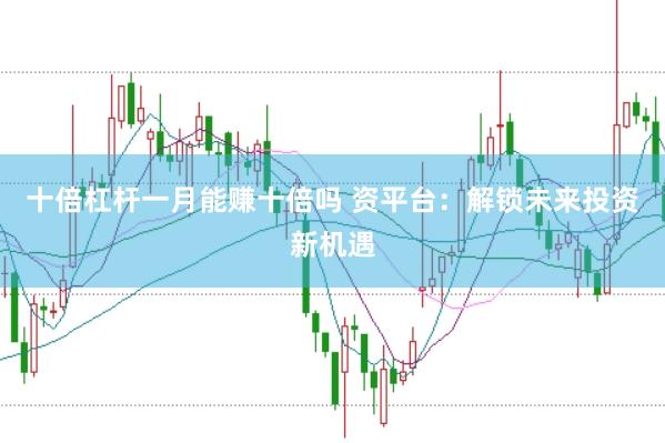十倍杠杆一月能赚十倍吗 资平台:解锁未来投资新机遇