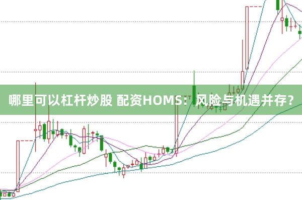 哪里可以杠杆炒股 配资HOMS:风险与机遇并存?