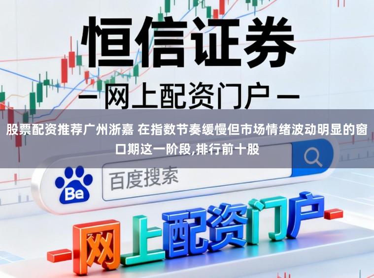 股票配资推荐广州浙嘉 在指数节奏缓慢但市场情绪波动明显的窗口期这一阶段，排行前十股